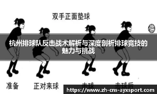 杭州排球队反击战术解析与深度剖析排球竞技的魅力与挑战